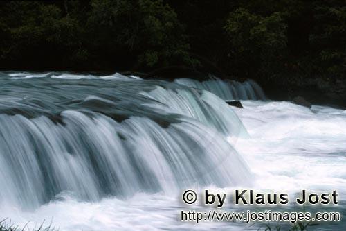 Brooks River Falls/Katmai/Alaska        River barrier Brooks River Waterfall         