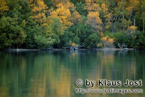 Brooks River/Katmai/Alaska        Late fall at Naknek lake            