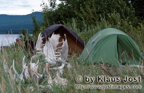 Lake Coville/Katmai backcountry/Alaska        Camp at the Lake Coville        