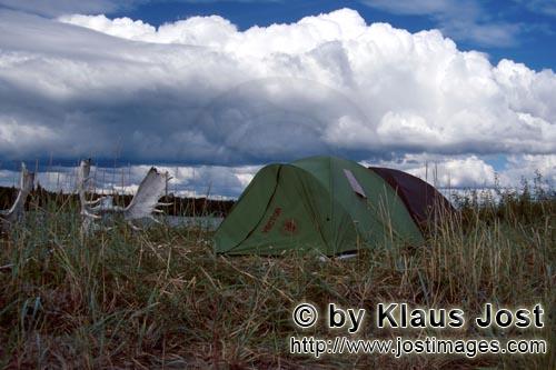 Lake Coville/Katmai backcountry/Alaska        Camp at the Lake Coville        