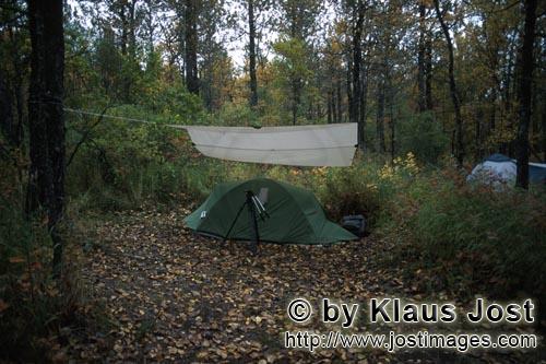 Brooks Campground/Katmai/Alaska        Camp at the Brooks Campground            