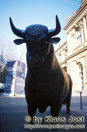 Boerse Frankfurt/Stock exchange        Bulle vor der Frankfurter Boerse        Bulle und Baer, die Synonyme