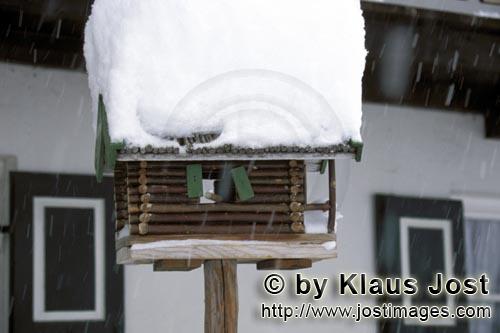 Verschneites Vogelhaus     Snow-covered bird house