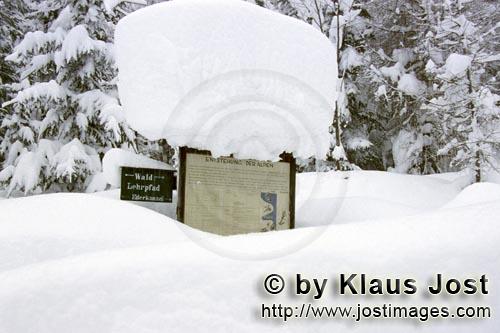    Verschneiter Wegweiser   Snow covered sign