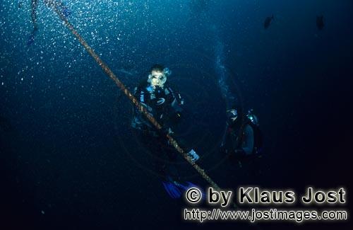 Shark reef/Vitu Levu/Beqa Lagoon/Fiji        Dr. Juerg Brunnschweiler with underwater VEMCO VR2 rece