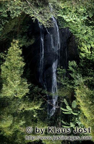 Wasserfall im Fiji Regenwald/Waterfall in the Fiji rainforest    Waterfall in the Fiji rainforest<