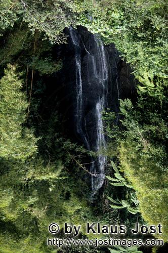 Rainforest/Viti Levu/Fiji        Picturesque waterfall in the jungle        