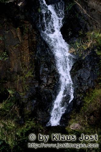 Wasserfall im Fiji Regenwald/Waterfall in the Fiji rainforest    Waterfall in the Fiji rainforest<