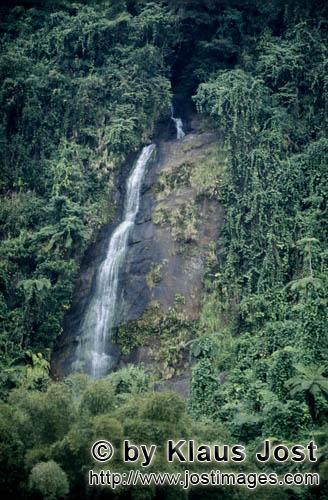 Rainforest/Viti Levu/Fiji        Jungle Waterfall    