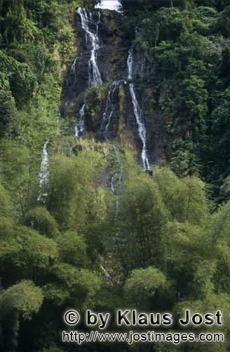 Rainforest/Viti Levu/Fiji        Magical Rainforest Waterfall        