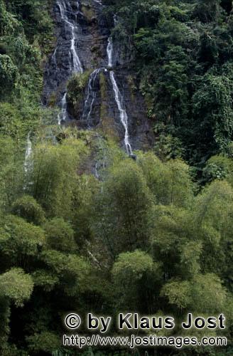 Rainforest/Viti Levu/Fiji        Waterfall in Fiji jungle    