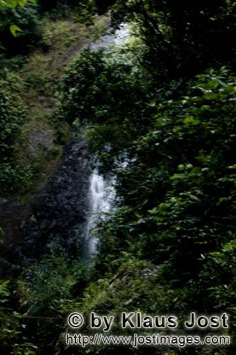Wasserfall im Fiji Regenwald    Rainforest    Ungefaehr 40 Prozent der Fläche Fijis, vor allem die reg