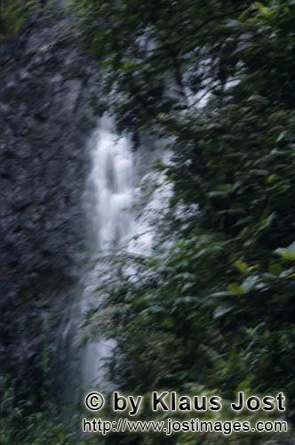 Rainforest/Viti Levu/Fiji        Waterfall in the Fiji tropical rainforest    