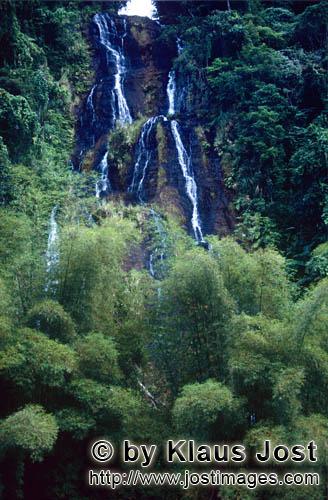 Rainforest/Viti Levu/Fiji        Mysterious waterfall in Fiji rainforest    