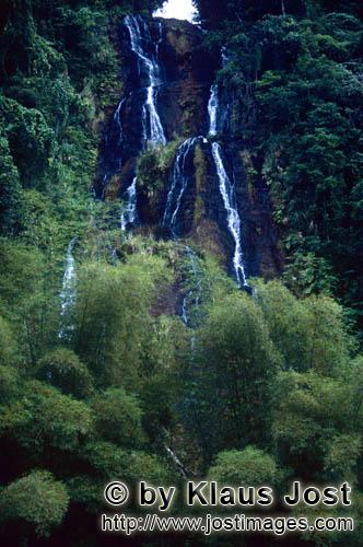 Wasserfall im Fiji Regenwald    Rainforest    Ungefaehr 40 Prozent der Fläche Fijis, vor allem die reg