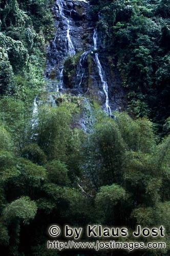 Rainforest/Viti Levu/Fiji        Waterfall in the jungle