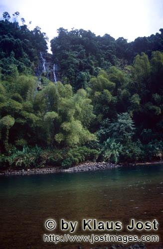 Rainforest/Viti Levu/Fiji        Rainforest river landscape