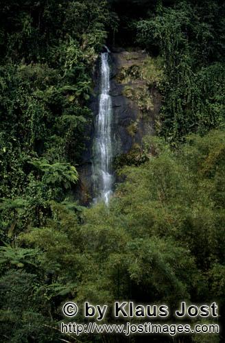 Rainforest/Viti Levu/Fiji        An impressive waterfall in the Fiji rainforest        