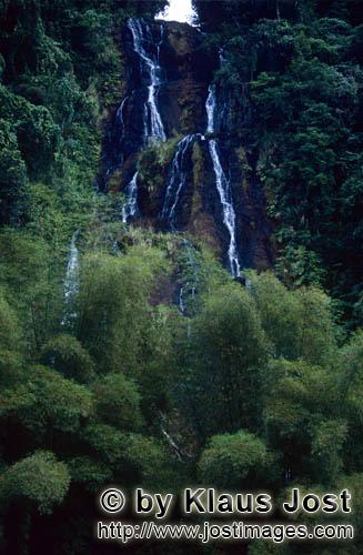 Wasserfall im Fiji Regenwald/Waterfall in the Fiji rainforest        Waterfall in the Fiji rainfores