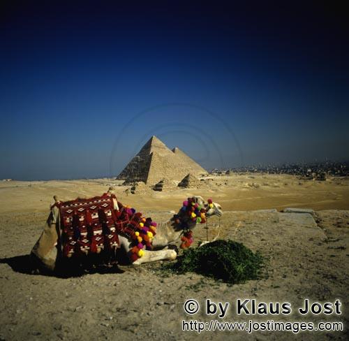 Pyramids Giza/Pyramiden Gizeh        The pyramids of Khufu, Khephren and Menkaure at Giza