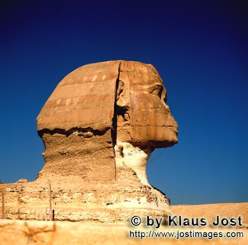 Great Sphinx of Giza /Sphinx von Gizeh        Sphinx of Giza head in profile        