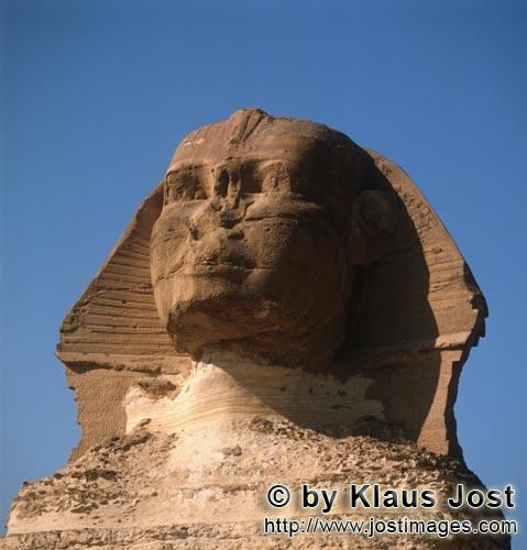Great Sphinx of Giza /Sphinx von Gizeh        The inscrutable gaze of the Sphinx of Giza        .    
