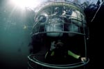 Shark cage with diver unterwater