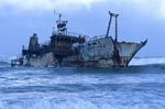 Meisho Maru 38 ran aground on 16 November 1982