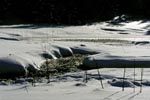Hochmoor im Winter
