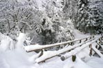 Snow-covered brook bridge