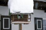 Snow-covered bird house