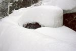 Snow-covered car