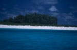 Island in the Midway Atoll
