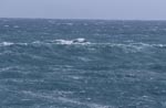 Sea surface agitated by the storm