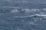 Strongly Sea surface motion 