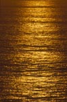 Golden shines the sea at sunset