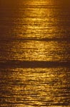 Golden sea surface at sunset