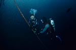 Dr. Juerg Brunnschweiler with underwater VEMCO VR2 receiver