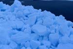 Pack Ice is the most common type of sea ice