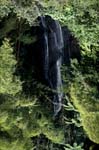 Picturesque waterfall in the jungle