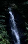 Beautiful waterfall in the rain forest