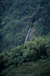 Wasserfall im Fiji Regenwald