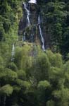 Magical Rainforest Waterfall
