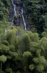 Waterfall in Fiji jungle