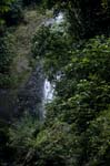 Wasserfall im Fiji Regenwald