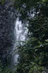 Impressive: Waterfall in the Fiji rainforest