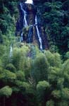 Mysterious waterfall in Fiji rainforest