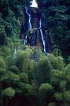 Waterfall in the Fiji rainforest