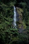 Waterfall in dense Fiji rainforest