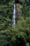 Waterfall in the middle of the Fijian rainforest